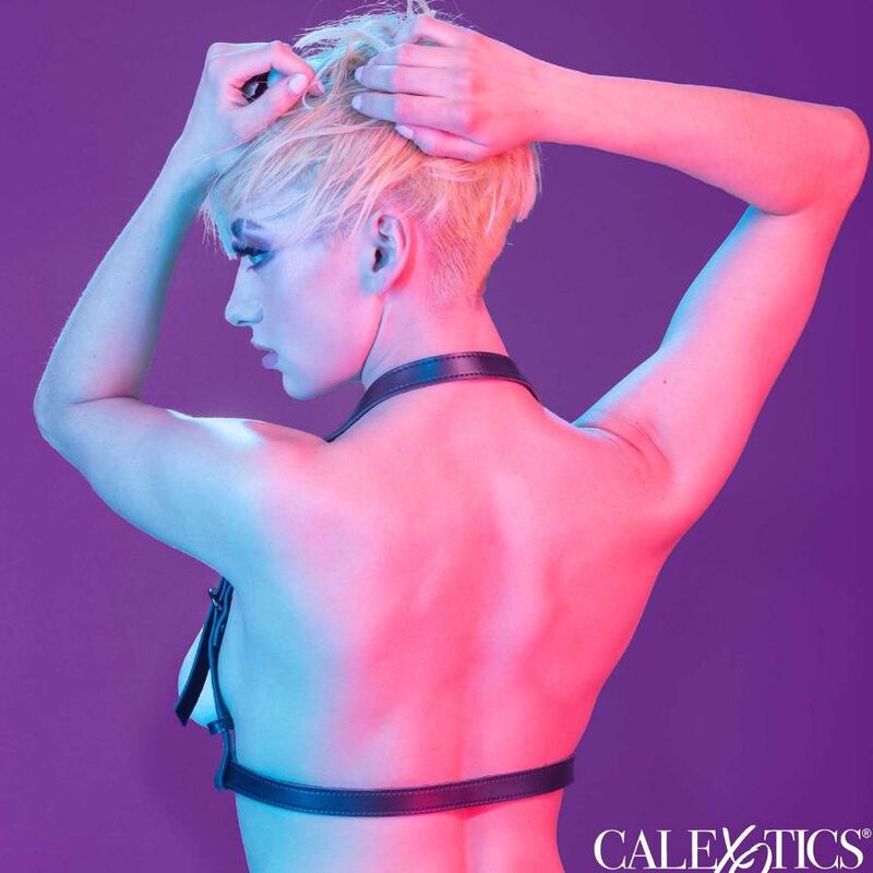 CALEXOTICS - EUPHORIA IMBRACATURA CON FIBBIA HALTER NERA - CALEXOTICS | Lingerie Harness Boutique