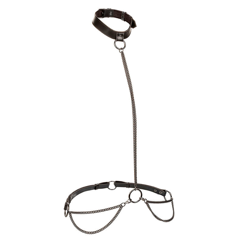CALEXOTICS - EUPHORIA COLLARE A CATENA E GUINZAGLIO - CALEXOTICS | Lingerie Harness Boutique