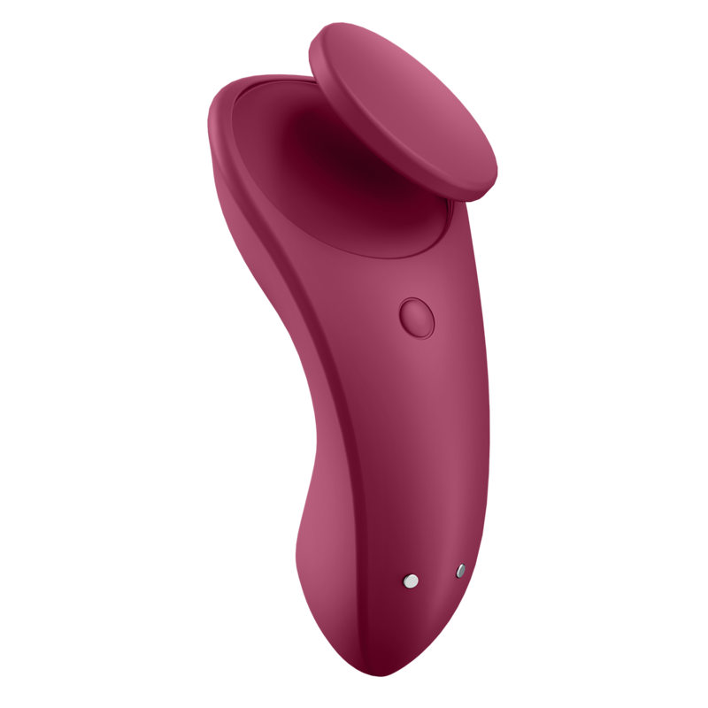 SATISFYER - SEXY SECRET PANTY - SATISFYER CONNECT | Lingerie Harness Boutique