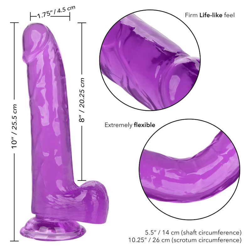CALEXOTICS - DILDO REGINA TAGLIA VIOLA 20.3 CM - CALEXOTICS | Lingerie Harness Boutique