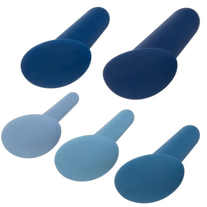 CALEXOTICS - SET PER ALLENAMENTO ANALE INDOSSABILE 5 PEZZI - CALEXOTICS | Lingerie Harness Boutique