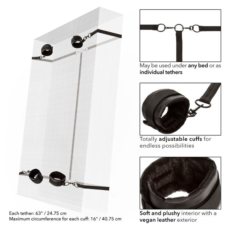 CALEXOTICS - CONTENUTO ROSSO SENZA LIMITI - CALEXOTICS | Lingerie Harness Boutique