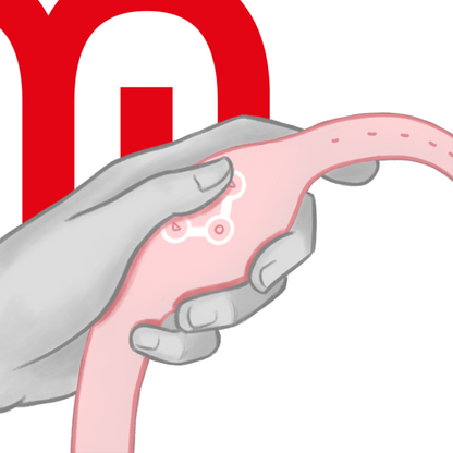 WATCHME - OROLOGIO CON TECNOLOGIA WIRELESS ROSA TENORE - WATCHME | Lingerie Harness Boutique