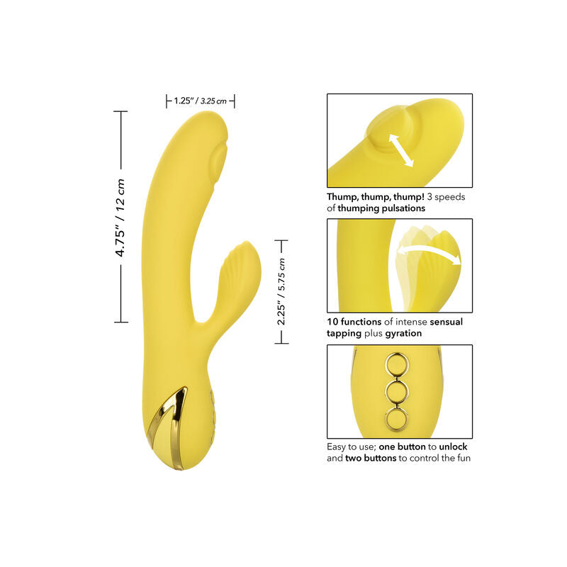 CALEXOTICS - LA SEDUZIONE DI SAN DIEGO - CALEXOTICS | Lingerie Harness Boutique