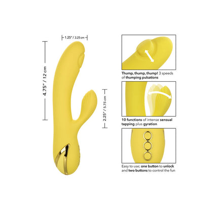 CALEXOTICS - LA SEDUZIONE DI SAN DIEGO - CALEXOTICS | Lingerie Harness Boutique