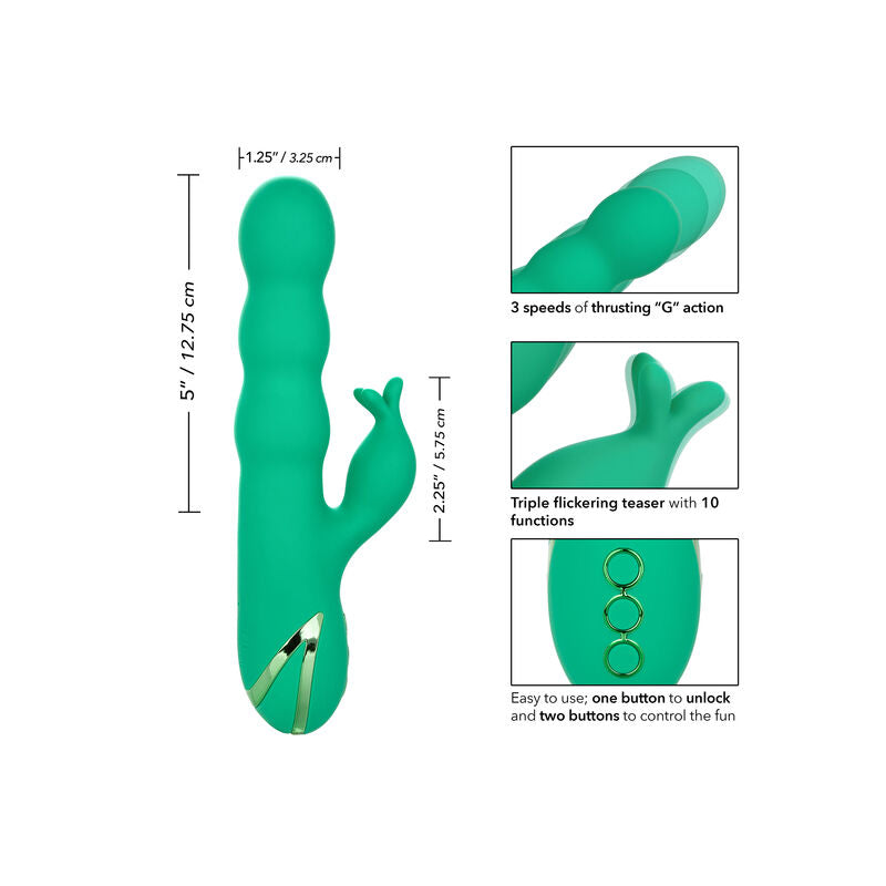 CALEXOTICS - SONOMA SODDISFATTO VERDE - CALEXOTICS | Lingerie Harness Boutique