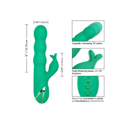 CALEXOTICS - SONOMA SODDISFATTO VERDE - CALEXOTICS | Lingerie Harness Boutique
