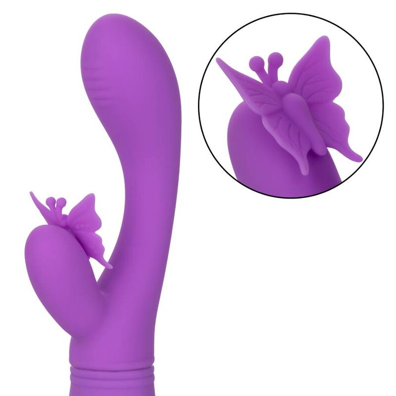 CALEXOTICS - BACIO FARFALLA FLUTTER VIOLA - CALEXOTICS | Lingerie Harness Boutique