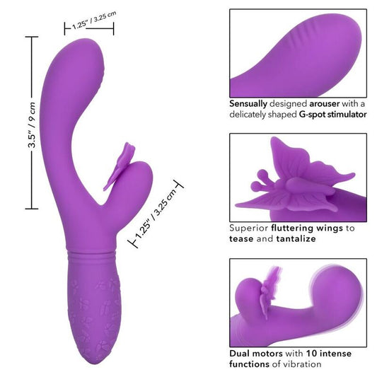 CALEXOTICS - BACIO FARFALLA FLUTTER VIOLA - CALEXOTICS | Lingerie Harness Boutique