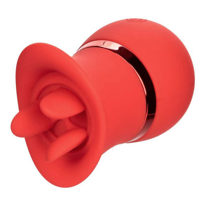 CALEXOTICS - SET FRENCH KISS SUCCHIA E GIOCA - CALEXOTICS | Lingerie Harness Boutique