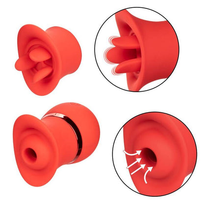 CALEXOTICS - SET FRENCH KISS SUCCHIA E GIOCA - CALEXOTICS | Lingerie Harness Boutique