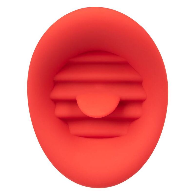 CALEXOTICS - FRENCH BACIO DOLCE PARLATORE - CALEXOTICS | Lingerie Harness Boutique