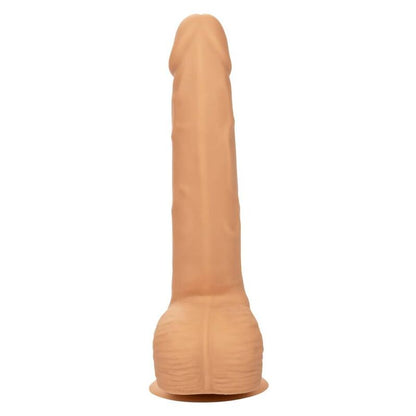 CALEXOTICS - SILICONE STUDS 20.32 CM LEATHER