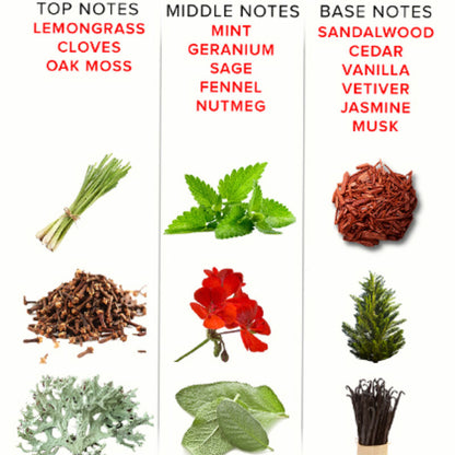 EYE OF LOVE - EOL PHR PARFUM DELUXE 50 ML - ROMANTIC - EYE OF LOVE | Lingerie Harness Boutique