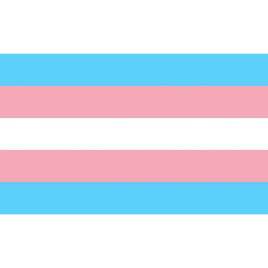 PRIDE - TRANSSEXUAL FLAG 90 X 150