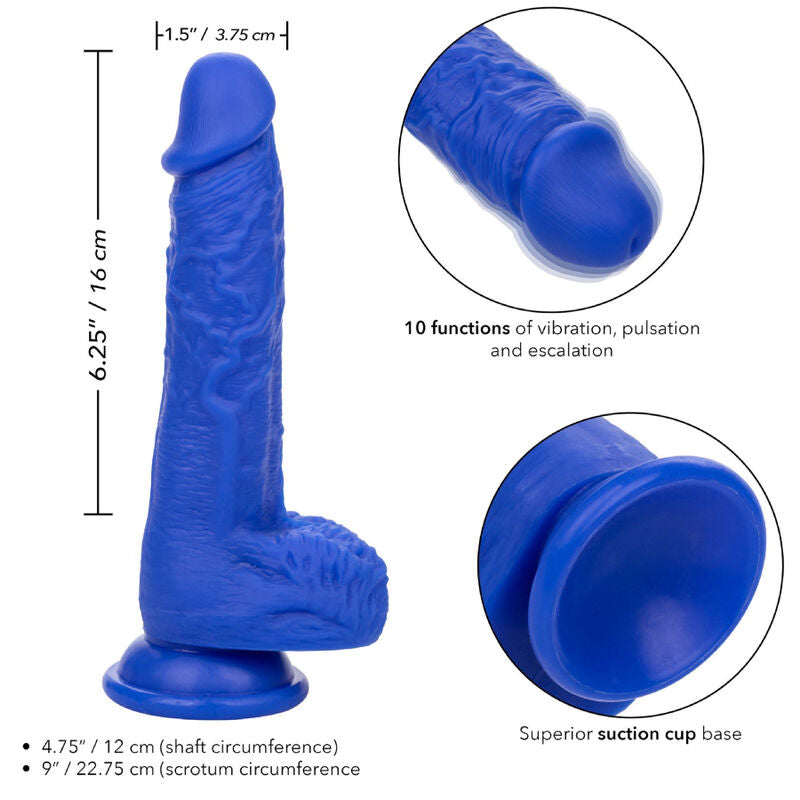 CALEXOTICS - ADMIRAL VIBRATOR REALISTIC DILDO SAILOR BLUE