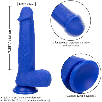 CALEXOTICS - ADMIRAL VIBRATORE DILDO REALISTICO DEL CAPITANO BLU - CALEXOTICS | Lingerie Harness Boutique
