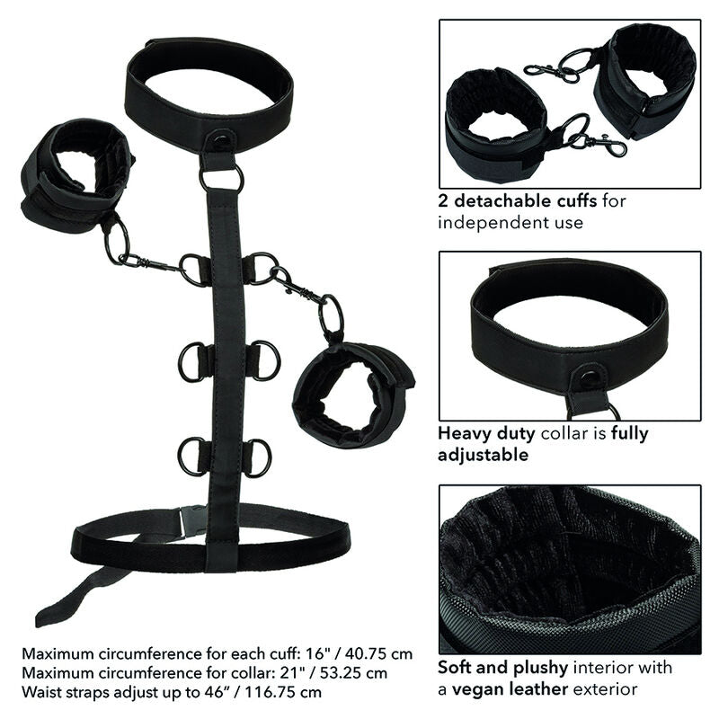 CALEXOTICS - BOUNDLESS COLLARE DI CONTENIMENTO DEL CORPO - CALEXOTICS | Lingerie Harness Boutique