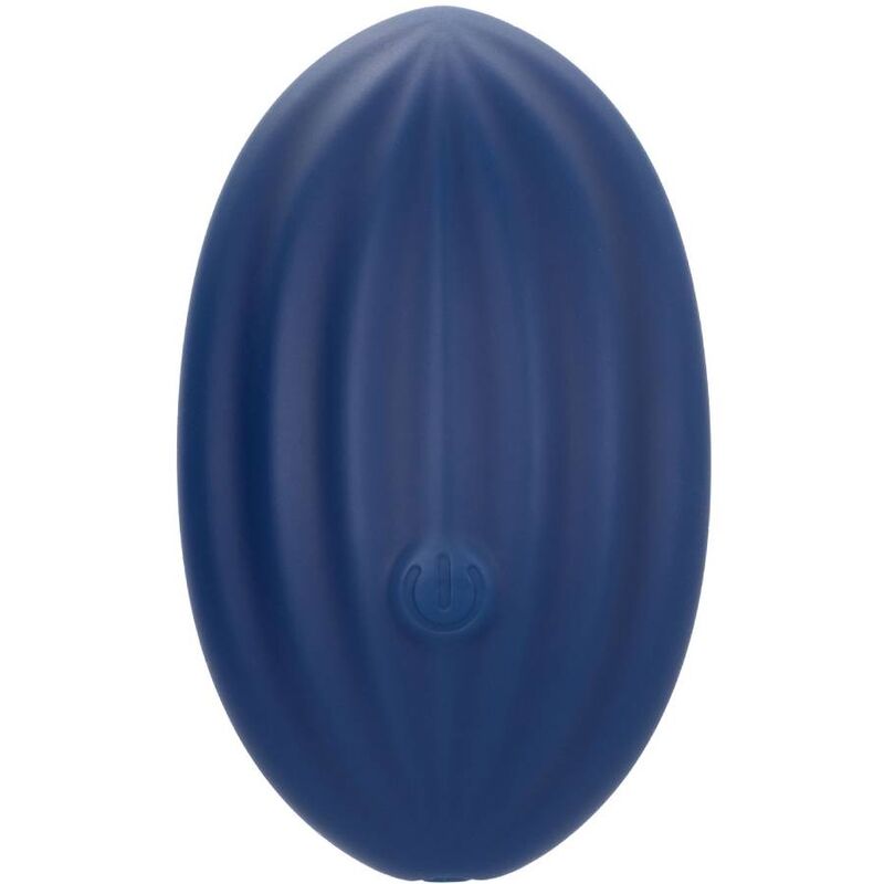 CALEXOTICS - CASHMERE CURVA VELLUTO BLU - CALEXOTICS | Lingerie Harness Boutique