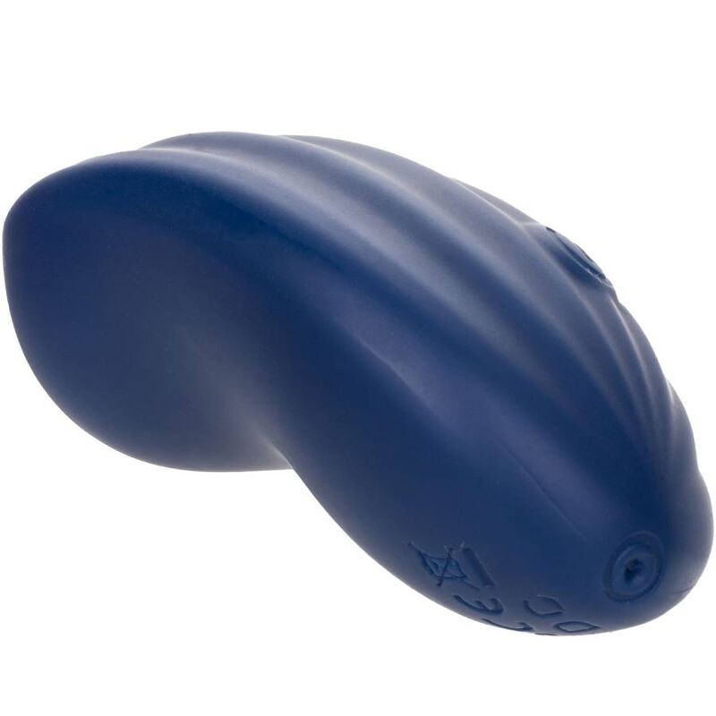 CALEXOTICS - CASHMERE CURVA VELLUTO BLU - CALEXOTICS | Lingerie Harness Boutique