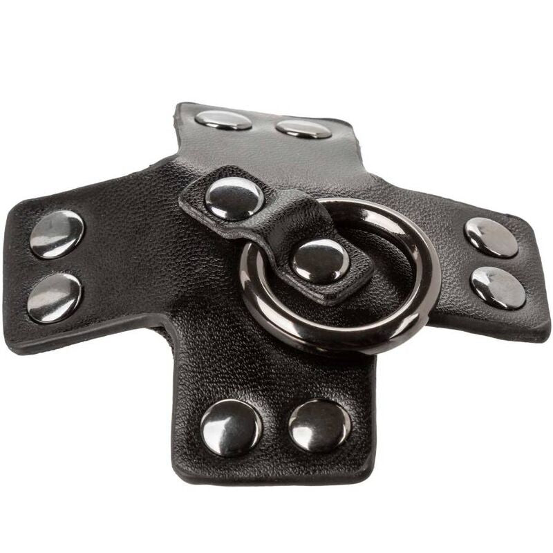 CALEXOTICS - EUPHORIA O-RING NERO - CALEXOTICS | Lingerie Harness Boutique