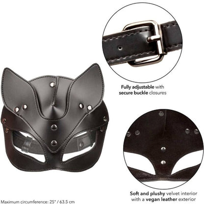 CALEXOTICS - EUPHORIA MASCHERA GATTO - CALEXOTICS | Lingerie Harness Boutique