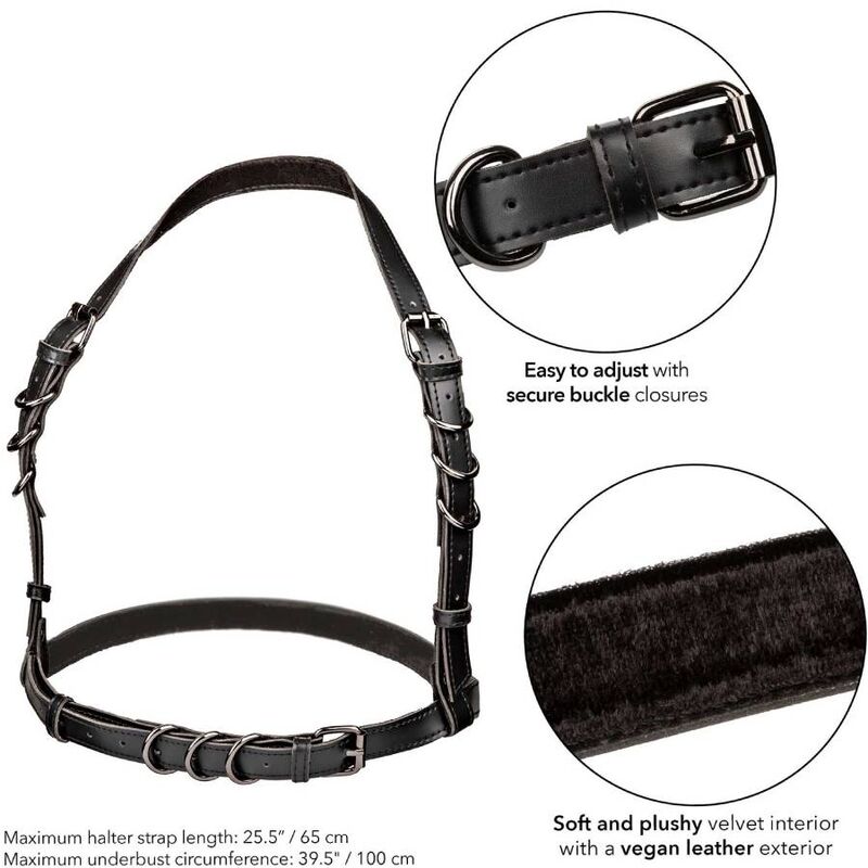 CALEXOTICS - EUPHORIA IMBRACATURA CON FIBBIA HALTER NERA - CALEXOTICS | Lingerie Harness Boutique