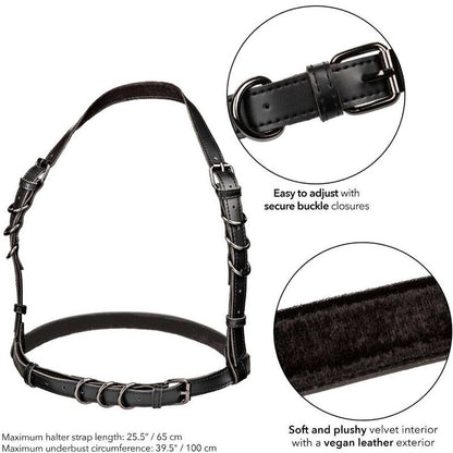 CALEXOTICS - EUPHORIA IMBRACATURA CON FIBBIA HALTER NERA - CALEXOTICS | Lingerie Harness Boutique