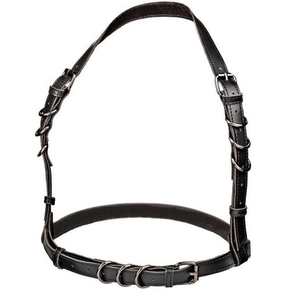 CALEXOTICS - EUPHORIA IMBRACATURA CON FIBBIA HALTER NERA - CALEXOTICS | Lingerie Harness Boutique
