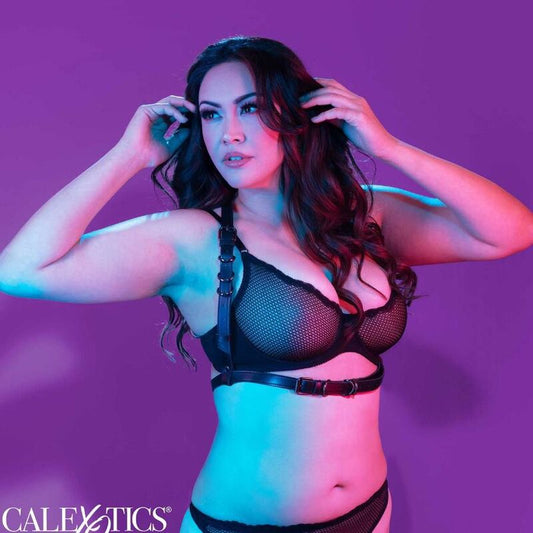 CALEXOTICS - EUPHORIA IMBRACATURA CON FIBBIA PLUS TAGLIA NERA - CALEXOTICS | Lingerie Harness Boutique
