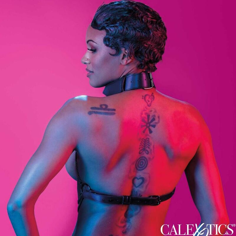 CALEXOTICS - EUPHORIA IMBRACATURA COLLETTO MULTI CATENA - CALEXOTICS | Lingerie Harness Boutique