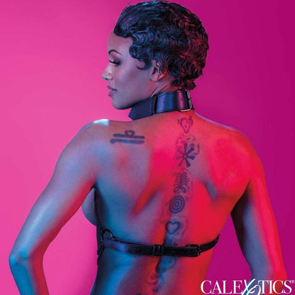 CALEXOTICS - EUPHORIA IMBRACATURA COLLETTO MULTI CATENA - CALEXOTICS | Lingerie Harness Boutique