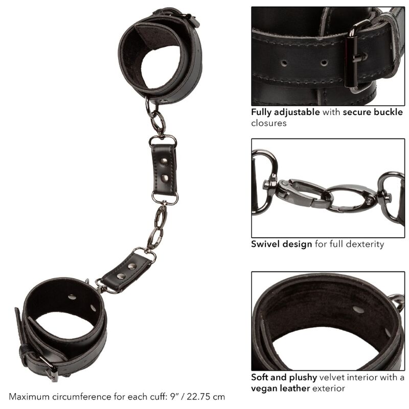 CALEXOTICS - EUPHORIA POLSINI - CALEXOTICS | Lingerie Harness Boutique