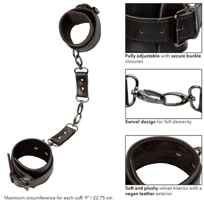 CALEXOTICS - EUPHORIA POLSINI - CALEXOTICS | Lingerie Harness Boutique