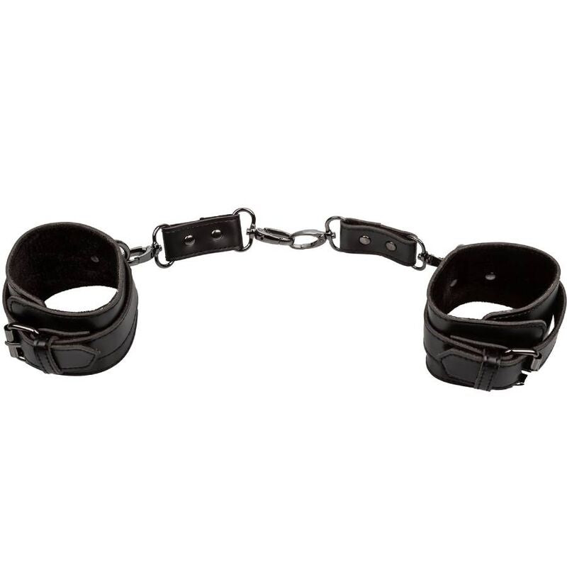 CALEXOTICS - EUPHORIA POLSINI - CALEXOTICS | Lingerie Harness Boutique