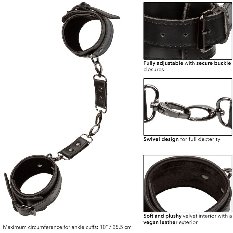 CALEXOTICS - EUPHORIA POLSINI ALLA CAVIGLIA - CALEXOTICS | Lingerie Harness Boutique