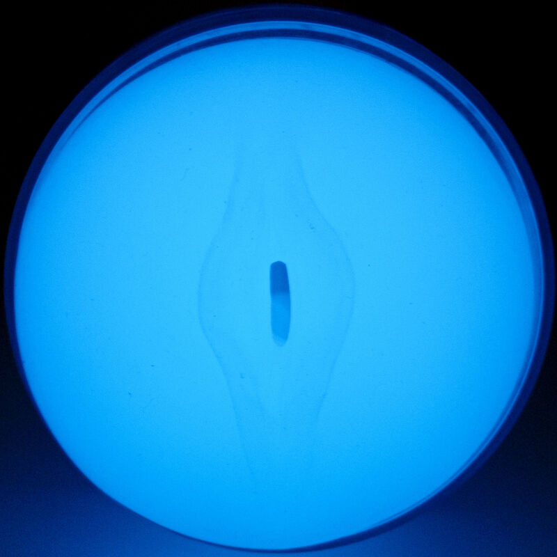 KIIROO - FEEL THE GLOW IN THE DARK STROKER