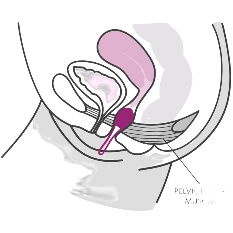 FUN FACTORY - SMARTBALL UNO PALLA PELVICA BIANCA / VERDE PISTACCHIO - FUN FACTORY | Lingerie Harness Boutique