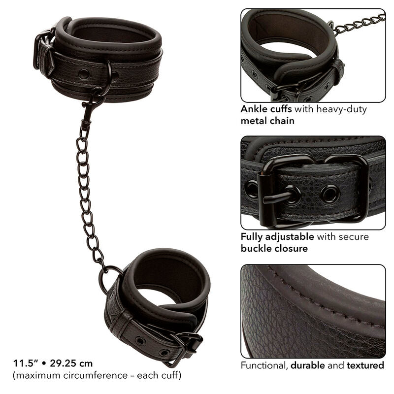 CALEXOTICS - NOCTURNAL CAVIGLIERE IN PELLE REGOLABILI NERE - CALEXOTICS | Lingerie Harness Boutique