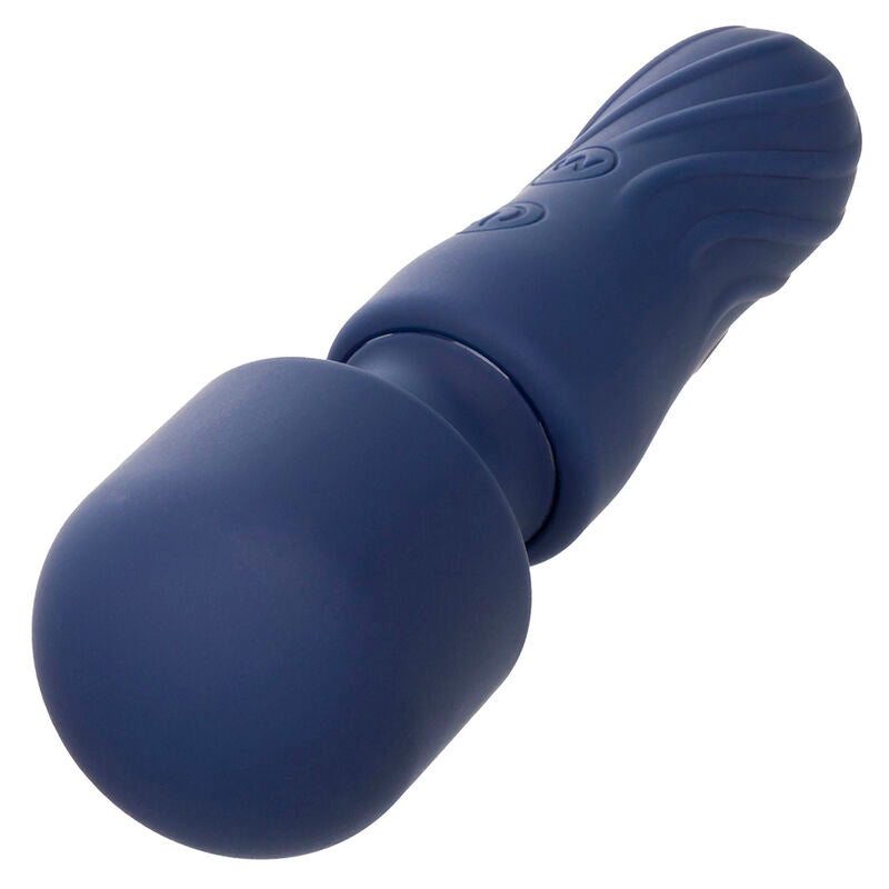 CALEXOTICS - CHARISMA CHARM MASSAGGIATORE 12 FUNZIONI VIOLA - CALEXOTICS | Lingerie Harness Boutique
