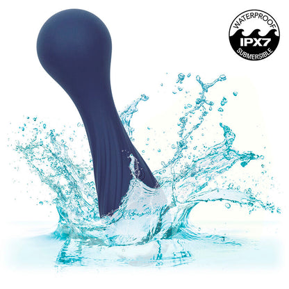 CALEXOTICS - CHARISMA TEMPTATION MASSAGGIATORE 12 FUNZIONI VIOLA - CALEXOTICS | Lingerie Harness Boutique