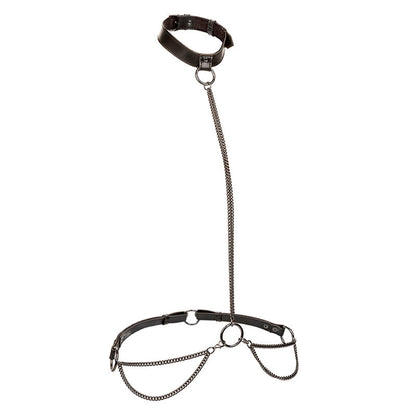 CALEXOTICS - EUPHORIA COLLARE A CATENA E GUINZAGLIO - CALEXOTICS | Lingerie Harness Boutique