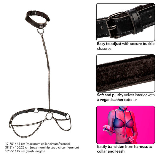 CALEXOTICS - EUPHORIA COLLARE A CATENA E GUINZAGLIO - CALEXOTICS | Lingerie Harness Boutique