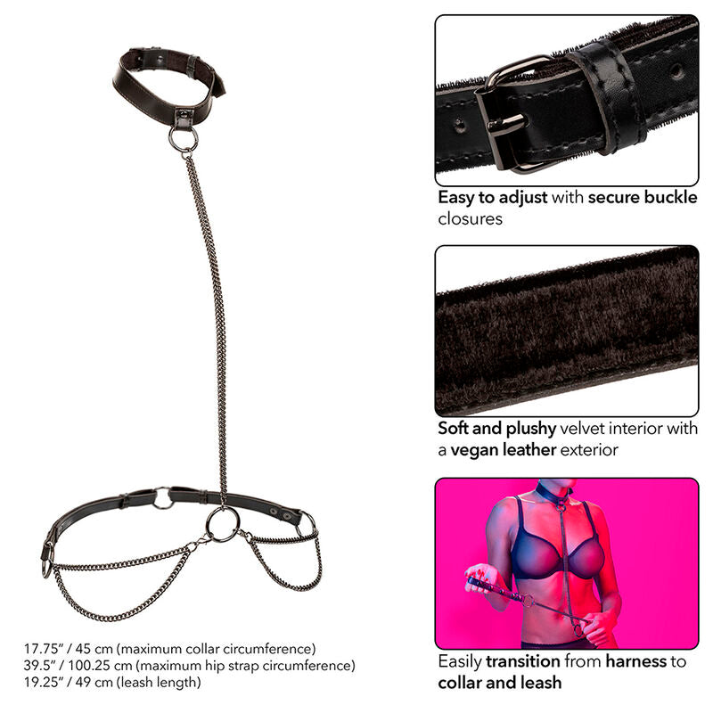 CALEXOTICS - EUPHORIA COLLARE A CATENA E GUINZAGLIO - CALEXOTICS | Lingerie Harness Boutique