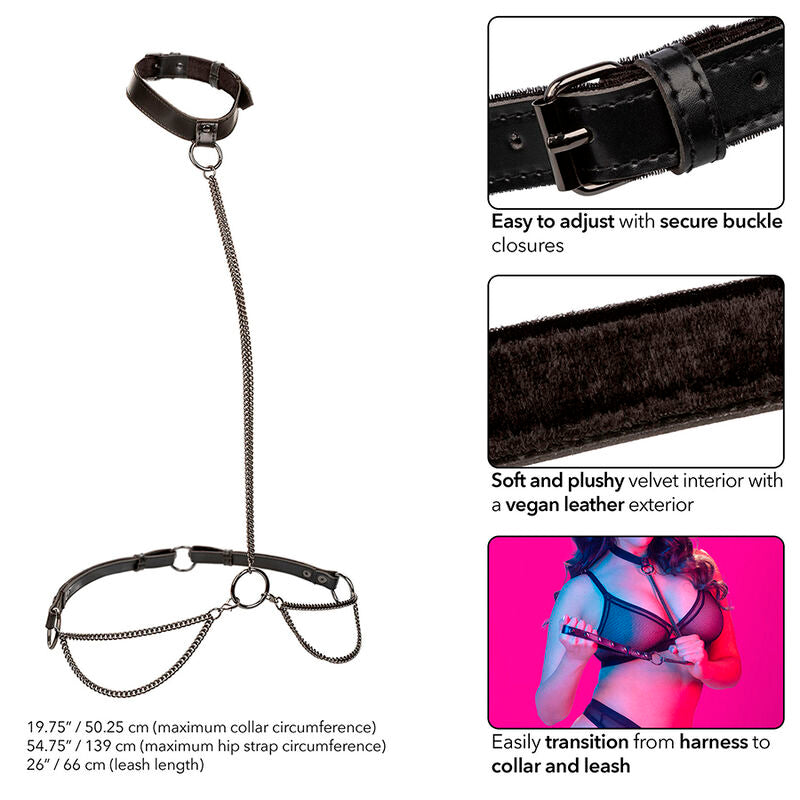 CALEXOTICS - EUPHORIA COLLARE A CATENA E GUINZAGLIO TAGLIA PIÙ GRANDE - CALEXOTICS | Lingerie Harness Boutique