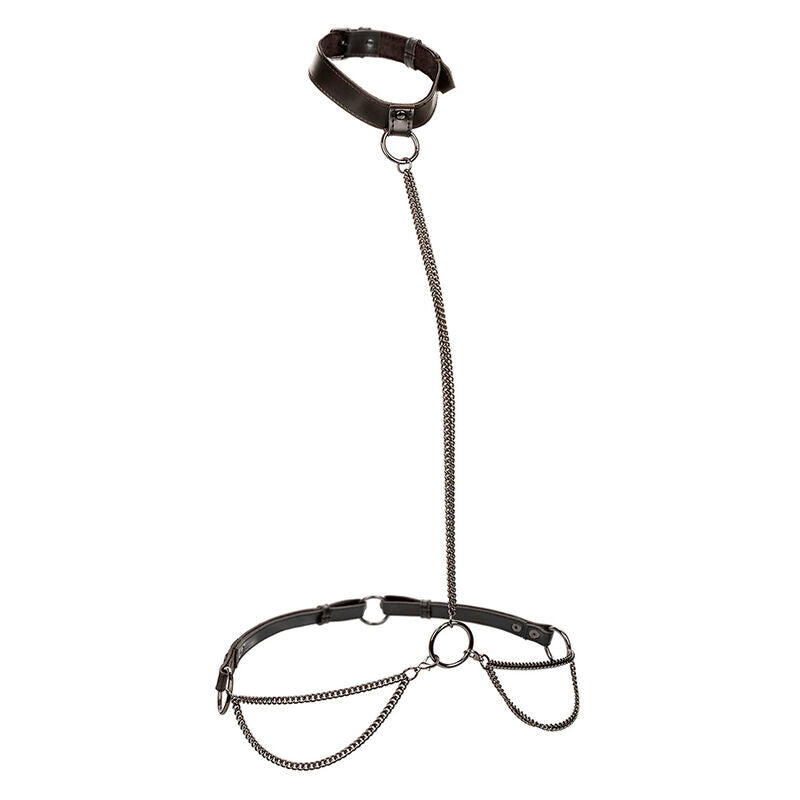 CALEXOTICS - EUPHORIA COLLARE A CATENA E GUINZAGLIO TAGLIA PIÙ GRANDE - CALEXOTICS | Lingerie Harness Boutique