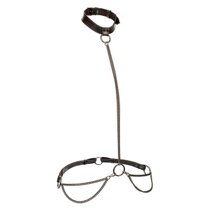 CALEXOTICS - EUPHORIA COLLARE A CATENA E GUINZAGLIO TAGLIA PIÙ GRANDE - CALEXOTICS | Lingerie Harness Boutique