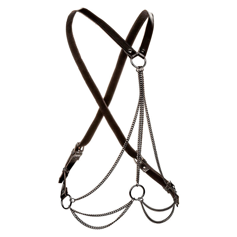 CALEXOTICS - EUPHORIA MULTICHAIN IMBRACATURA PREMIUM TAGLIA PIÙ GRANDE - CALEXOTICS | Lingerie Harness Boutique