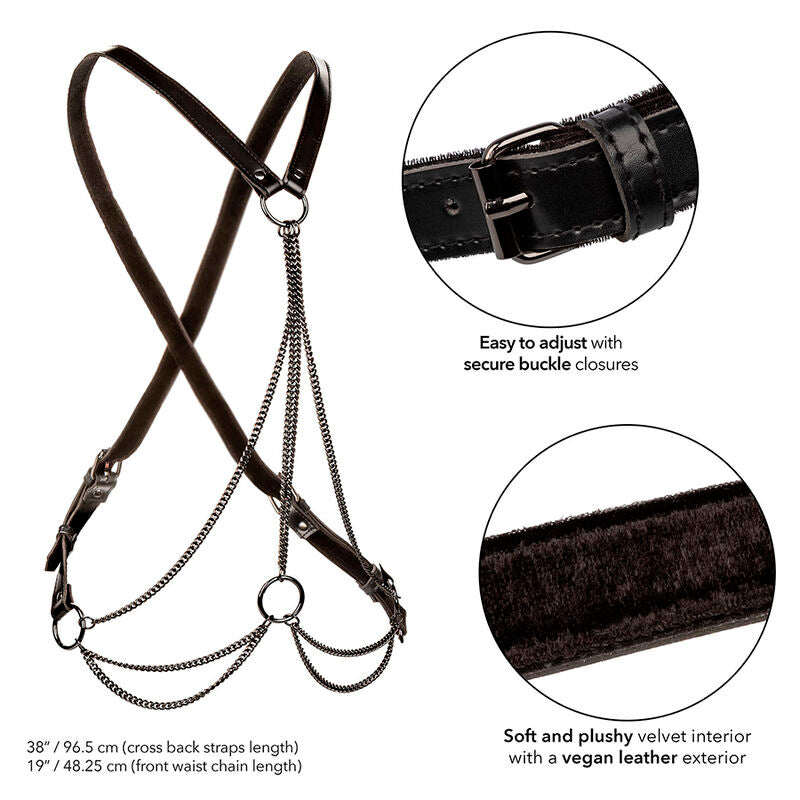 CALEXOTICS - EUPHORIA MULTICHAIN IMBRACATURA PREMIUM TAGLIA PIÙ GRANDE - CALEXOTICS | Lingerie Harness Boutique