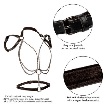 CALEXOTICS - EUPHORIA MULTICHAIN HALTER HARNESS PREMIUM - CALEXOTICS | Lingerie Harness Boutique